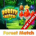 有趣的森林比赛(Forest Match)