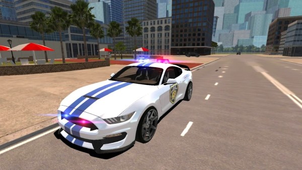 野马警车驾驶2021(Mustang Police Car Driving 2021)